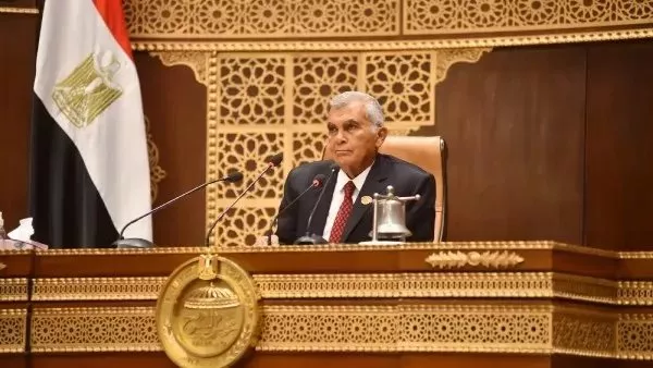 عصام فريد رئيس مجلس الشيوخ