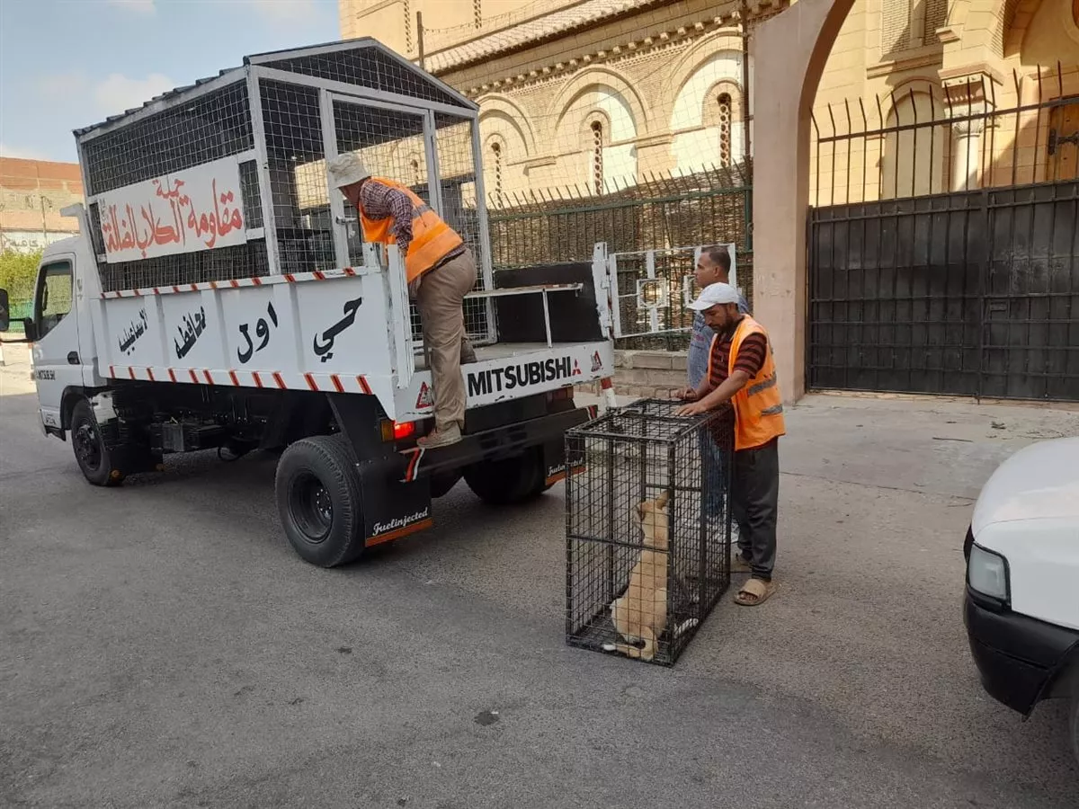 جانب من أعمال التعقيم