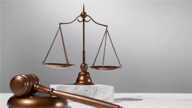 مجلس الدولة يحدد 22 يناير لنظر دعوى التحفظ على 