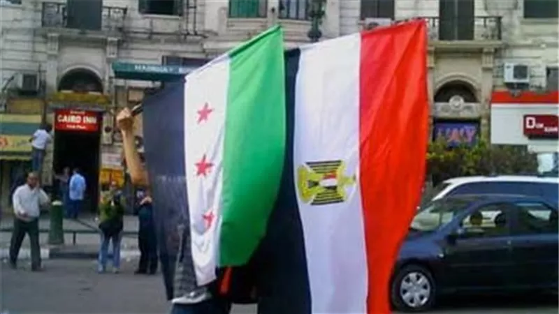 موقف مصر بشأن التطورات في سوريا.. هل هناك زيارة وشيكة؟
