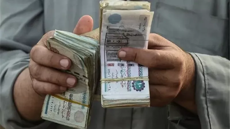 لدعمهم في مواجهة الصعوبات.. مقترح برلماني لإنشاء صندوق معاش للمصريين بالخارج