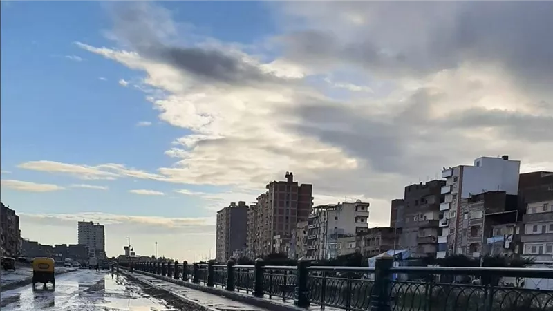 طقس الاثنين.. شبورة كثيفة وفرص لهطول الأمطار الخفيفة والمتوسطة