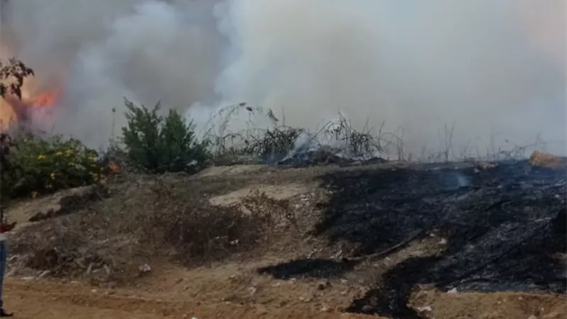 إخماد حريق هائل اندلع في أشجار النخيل بالحي السابع بمدينة الشروق (صور)