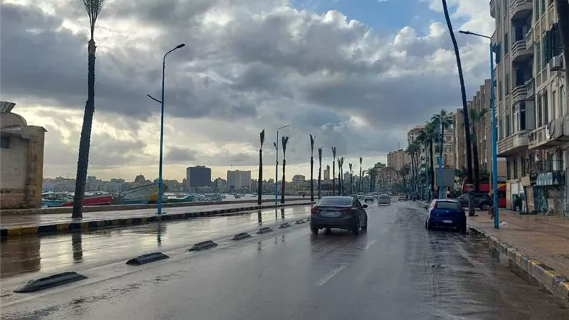 شديد البرودة ليلًا.. تعرّف على حالة الطقس اليوم السبت 1 فبراير 2025