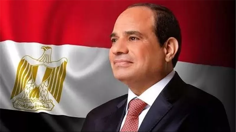 السيسي: الدبلوماسية المصرية أثبتت أن الحقوق تنتزع بالإرادة والعلم والصبر
