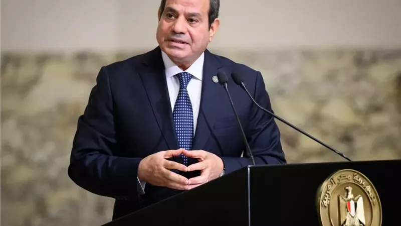 قرار جمهوري بإنشاء قنصلية عامة لمصر في وادي حلفا بالسودان