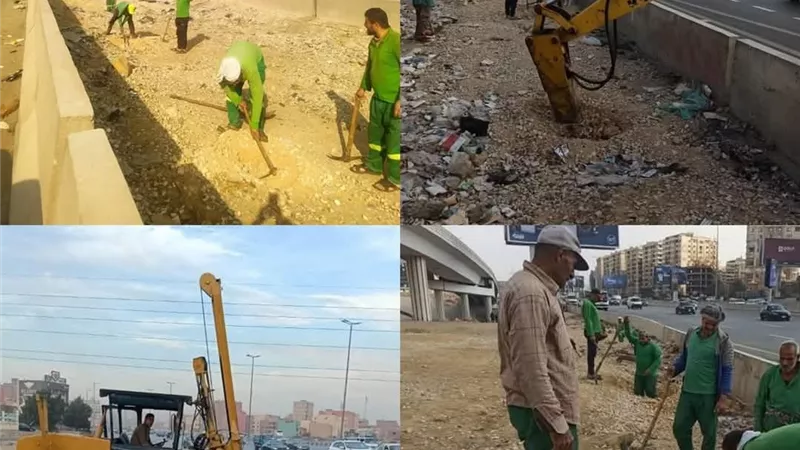 وزيرة التنمية المحلية: بدء تكويد الأشجار المزروعة بالطريق الدائري في القاهرة والجيزة