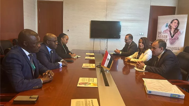 مركز مجدي يعقوب رواندا للقلب على مائدة مباحثات وزير الخارجية مع نظيره الرواندي