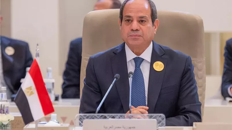 السيسي لرئيس الكونجرس اليهودي: إعمار غزة وإقامة الدولة الفلسطينية ضرورة للسلام