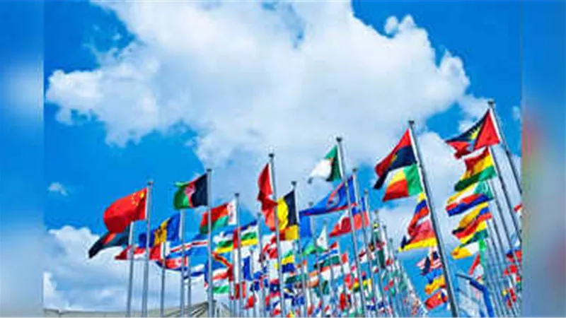 دول تضم أكبر عدد من المليارديرات.. أمريكا والصين في الصدارة