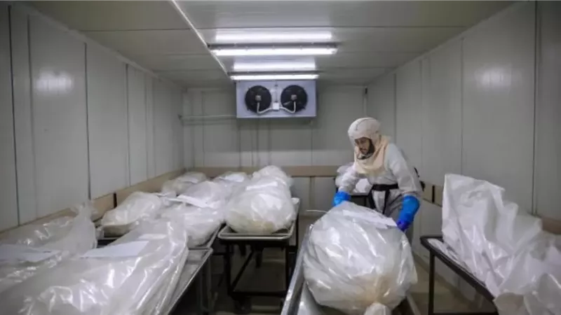 إحالة 5 عاملين بمشرحة أسوان للمحاكمة التأديبية