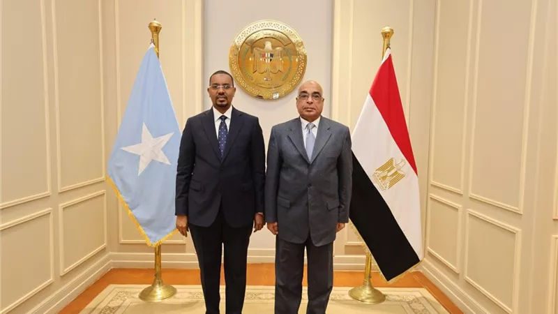  للاستفادة من الخبرة المصرية .. وزير العدل يستقبل نظيره الصومالي لتعزيز التعاون القضائي