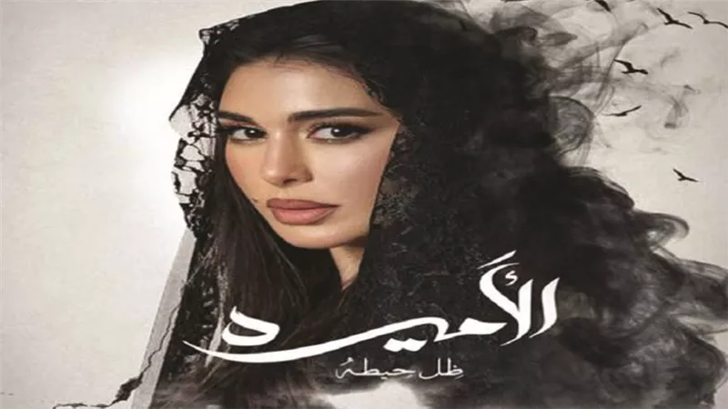 خوف وتحدي.. الإثارة والغموض يسيطران على إعلان مسلسل «الأميرة: ظل حيطة»