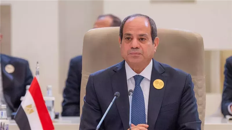السيسي: أوضاع المنطقة تكبدنا 800 مليون دولار شهريا من إيراد قناة السويس
