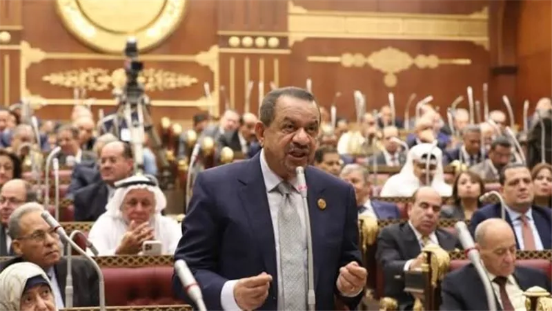 برلماني يطالب بوقف تصدير الخامات: ضرورة لتعزيز القيمة المضافة
