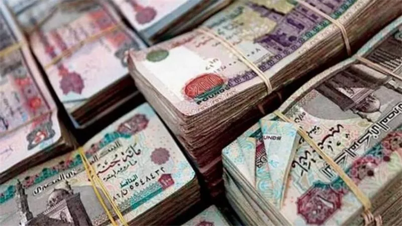 موعد تطبيق زيادة الأجور للموظفين في القطاعين الحكومي والخاص
