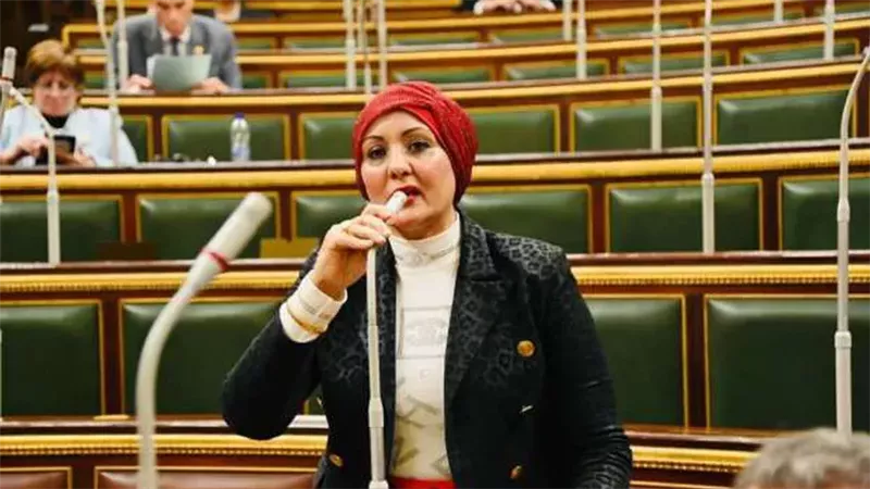 النائبة هناء فاروق: انتصار أكتوبر ملحمة بطولية أبهرت العالم