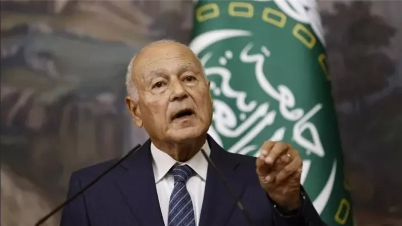 أبو الغيط: حصر السلاح في يد الدولة بلبنان هو سبيل لتحقيق استقراره