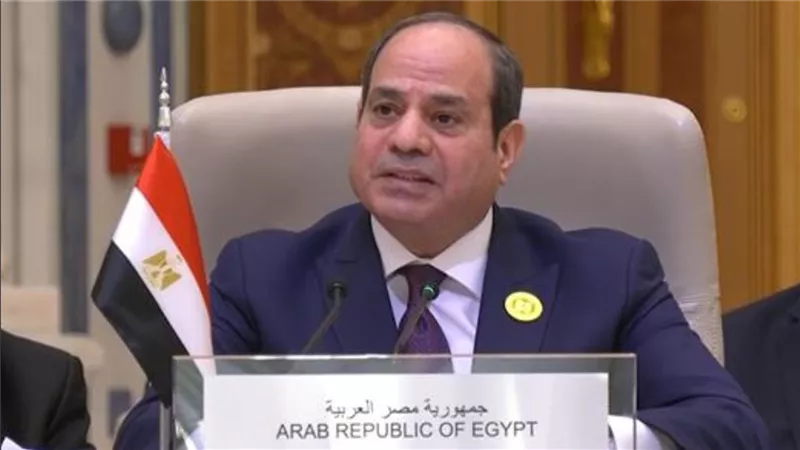 وزير الخارجية يسلم رسالة من السيسي لرئيس الكونغو.. ما مضمونها؟