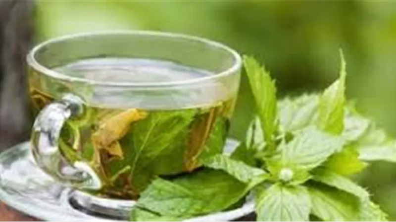 مشروبات سحرية لزيادة التركيز خلال امتحانات الثانوية العامة 2025