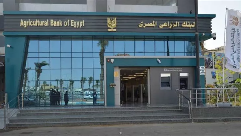 البساطة 