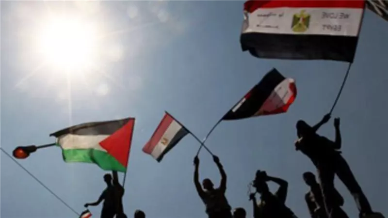 الجهود المصرية في دعم القضية الفلسطينية: مواقف ثابتة ومساعٍ دؤوبة