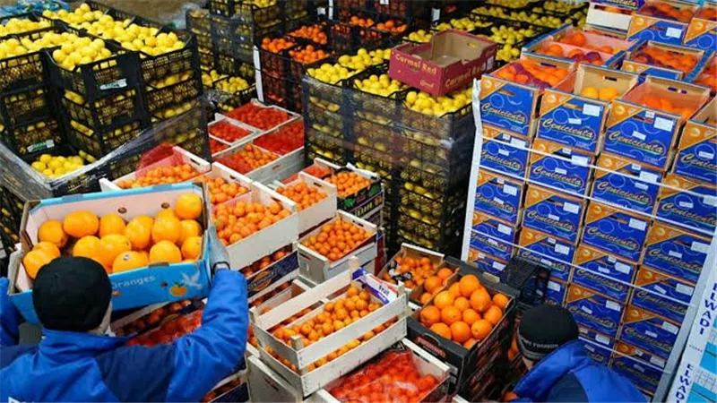 الصادرات الزراعية.. مصر تحقق طفرة غير مسبوقة وتفتح أسواق جديدة في 2025 