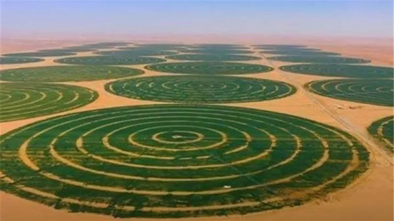 ثورة خضراء.. 13 مليون فدان ترسم مستقبل القطاع الزراعي بمصر بحلول 2030