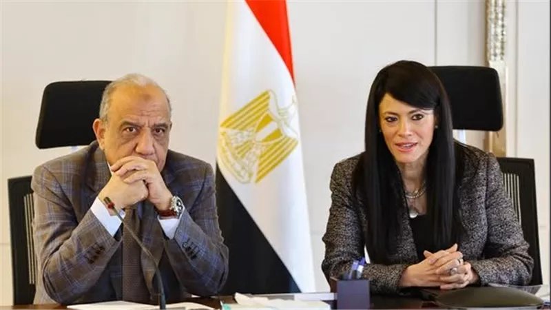 وزيرة التخطيط: 99.9 مليار جنيه لتنفيذ 48 مشروعا بقطاع الكهرباء