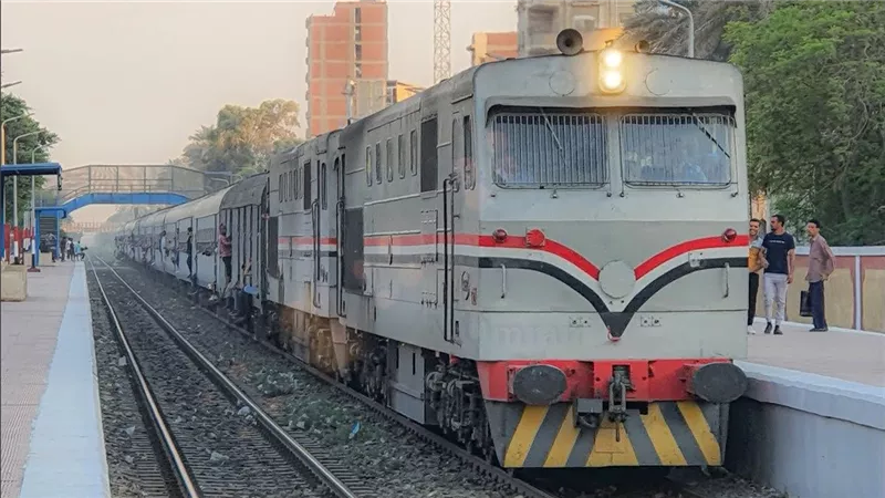 قطار يدهس 20 رأس غنم أثناء عبورها من ممر غير شرعي بقنا