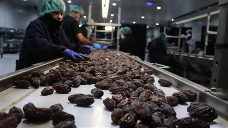 فلسطين على خارطة التمور.. الثامنة عالميًا في التصدير رغم تضييق الاحتلال