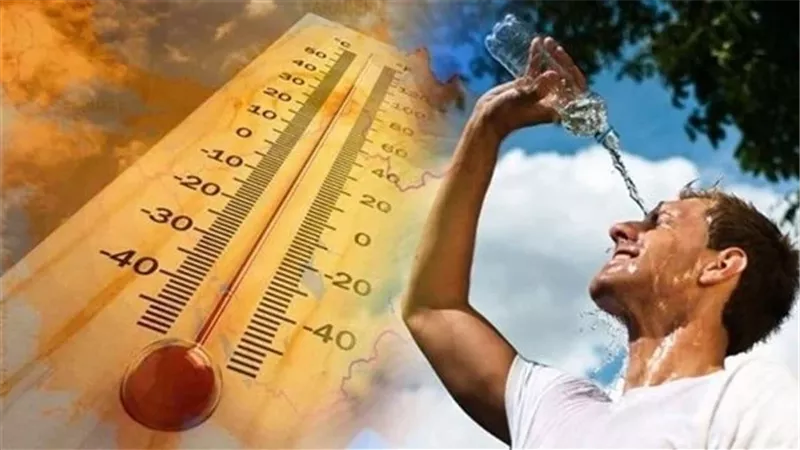 شبورة وانخفاض الحرارة.. الأرصاد تكشف حالة الطقس وتحذر من 3 ظواهر جوية