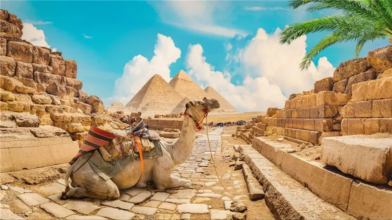 السياحة المصرية تستهدف 20 مليار دولار إيرادات و20 مليون سائح في ٢٠٢٦ 
