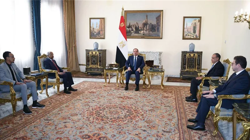 مكافحة الإرهاب بالصومال.. تفاصيل لقاء السيسي مع وزير خارجية إريتريا