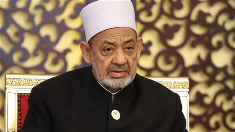 شيخ الأزهر لرئيس وزراء لبنان: الوحدة هي السبيل لنهضة أمتنا وتقدمها