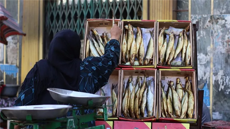 نائب يطالب الحكومة بكشف أسباب ارتفاع أسعار الأسماك رغم وفرة الإنتاج