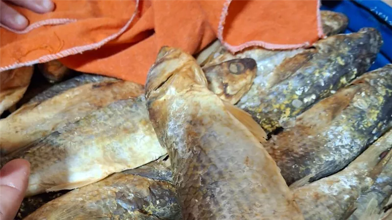 قبل العيد.. ضبط 2 طن فسيخ ورنجة وسردين فاسد في أسواق القاهرة