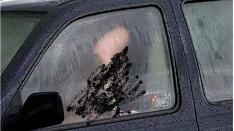 الأمن يكشف حقيقة فيديو 