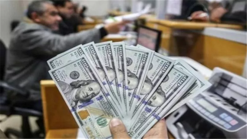 ضبط أكثر من 13 مليون جنيه في قضايا الإتجار غير المشروع بالنقد الأجنبي