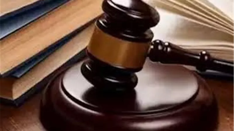 كيف يحمي قانون الإجراءات الجنائية الجديد «الشهود والمبلغين»؟