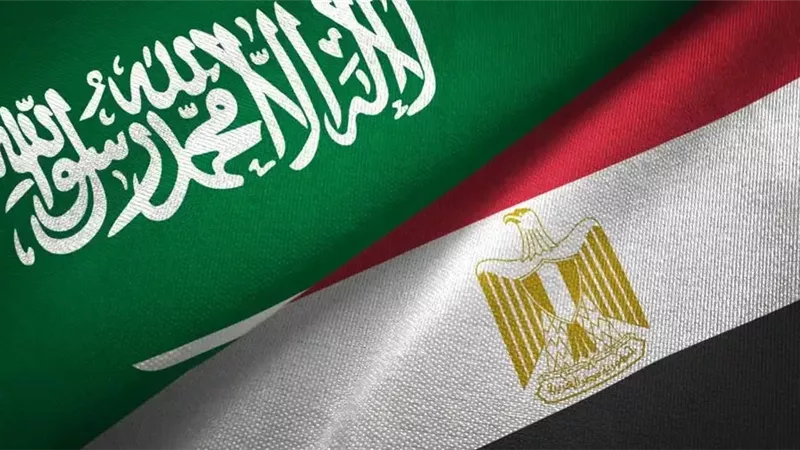 خبير اقتصادي لـ«تفصيلة»: التعاون بين مصر والسعودية قد يؤسس لتكتل عربي أكثر قوة