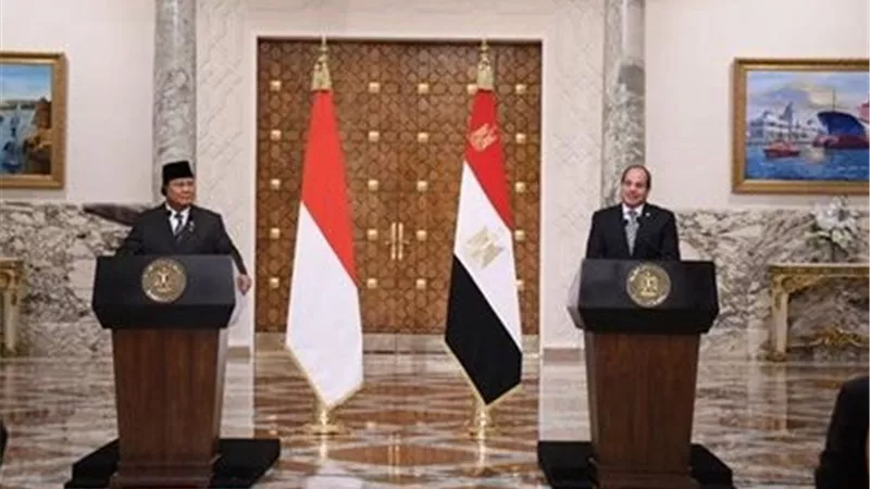 الرئيس السيسي ونظيره الإندونيسي يوقعان إعلان الشراكة الاستراتيجية بين البلدين
