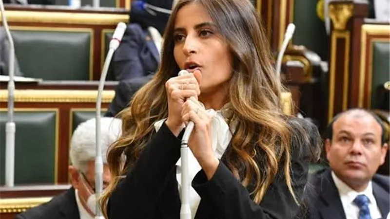 خارجية النواب: زيارة رئيس إندونيسيا لمصر تعكس عمق العلاقات الثنائية