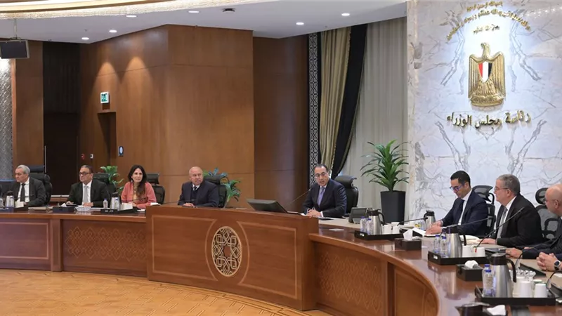 لإنشاء مصنعين جديدين.. تفاصيل لقاء رئيس الوزراء مع مسؤولي 