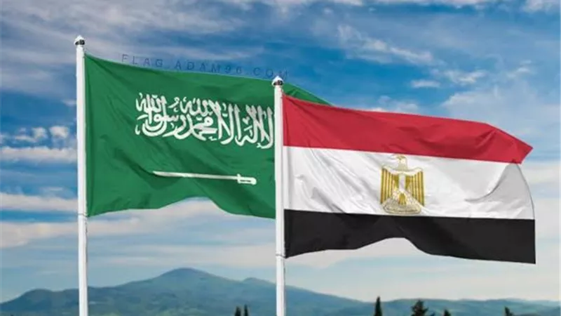 السعودية تضاعف استثماراتها في مصر.. 100 شركة تبحث عن فرص جديدة