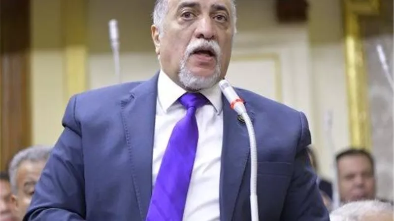 برلماني يحذر من مخاطر الحرب التجارية العالمية على الاقتصاد المصري