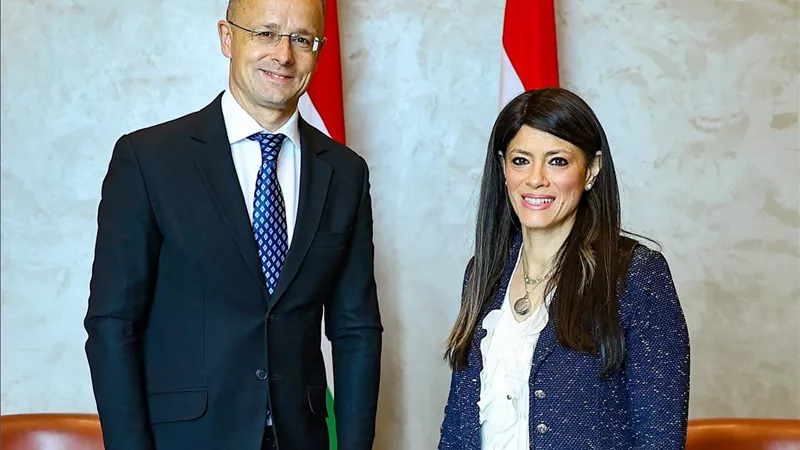 المشاط: الحكومة تعمل على تهيئة بيئة الاستثمار وتبسيط الإجراءات