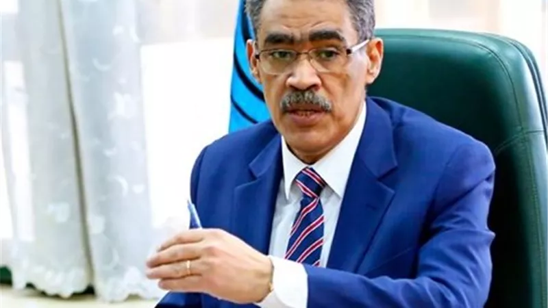 ضياء رشوان: مصر تضع مصالح القارة الإفريقية على قمة أولوياتها