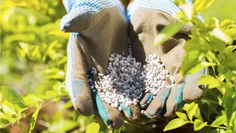الأولى عربيًا.. خطة تطوير صناعة الأسمدة في مصر وزيادة الصادرات
