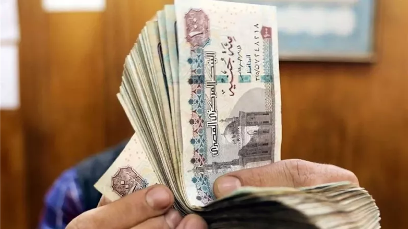 موعد زيادة المعاشات.. التأمينات تكشف القيم الجديدة والحدود التأمينية